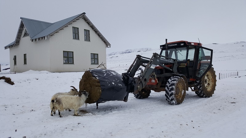 Býlið Stórhóll