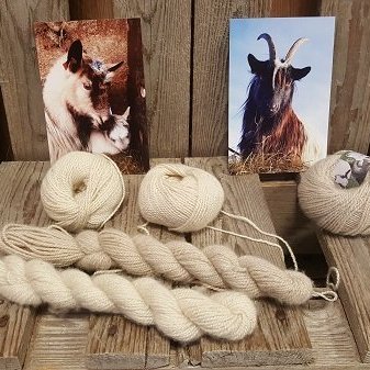 Geitafiða-kasmír af geitunum á Stórhól, spunnið af Smáspunaverksmiðjunni Uppspuna, 23-25gr dokkur á 4.830,- til 5.250 ,-kr dokkan.  Tveir litir í boði, Vörunr. GK2018-01 (ljósari) og Vörunr. GK2018-02 (dekkri.)