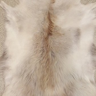 G2018-02 Geitastaka, kiðlingaskinn flott á gólf eða í stólinn, á vegginn eða í vögguna.  Verð, 25.000,- stk.