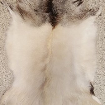 G2018-03 Geitastaka, kiðlingaskinn flott á gólf eða í stólinn, á vegginn eða í vögguna.  Verð, 25.000,- stk.