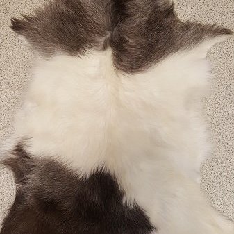 G2018-06 Geitastaka, kiðlingaskinn flott á gólf eða í stólinn, á vegginn eða í vögguna.  Verð, 25.000,- stk.