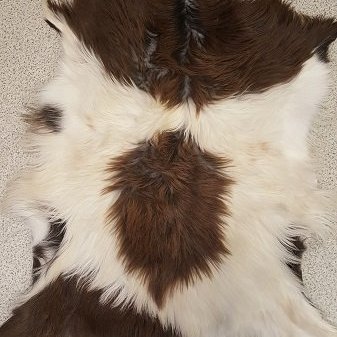 G2018-09 Geitastaka, kiðlingaskinn flott á gólf eða í stólinn, á vegginn eða í vögguna.  Verð, 25.000,- stk.