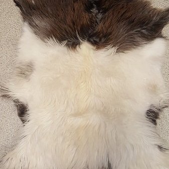 G2018-12 Geitastaka, kiðlingaskinn flott á gólf eða í stólinn, á vegginn eða í vögguna.  Verð, 25.000,- stk.