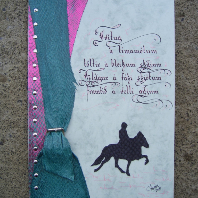 Myndanr. Z21 Afmælisgestabók, skreytt með roði.  Stæðrð A4. Marmarakarton 10 blöð með forsíðu. Gestabók með roði, hráefni: marmarakarton og laxaroð