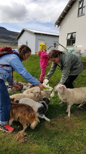 Gestirnir náðu pelatíma