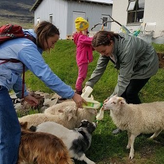 Gestirnir náðu pelatíma