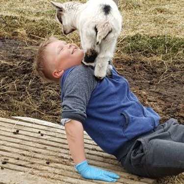 Emil og Tinna